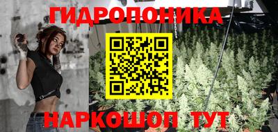 ГАЛЛЮЦИНОГЕННЫЕ ГРИБЫ Абакан