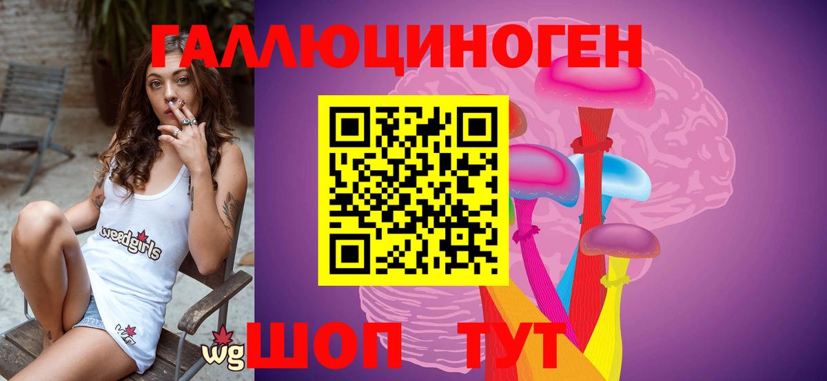 Псилоцибиновые грибы мицелий Алейск