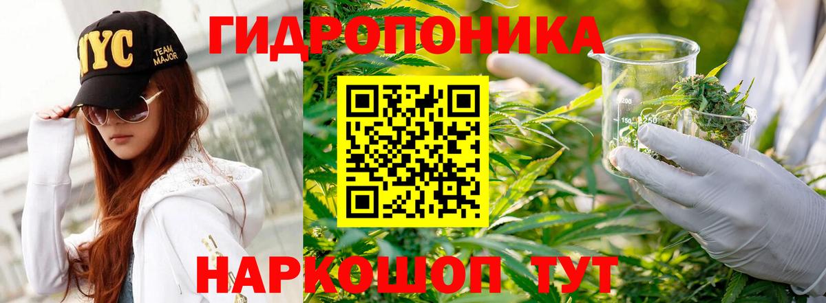 Бошки марихуана гибрид  МАРИХУАНА SATIVA & INDICA  Шишки марихуана марихуана  Вход с VPN  Алейск  Бошки Шишки MAZAR 